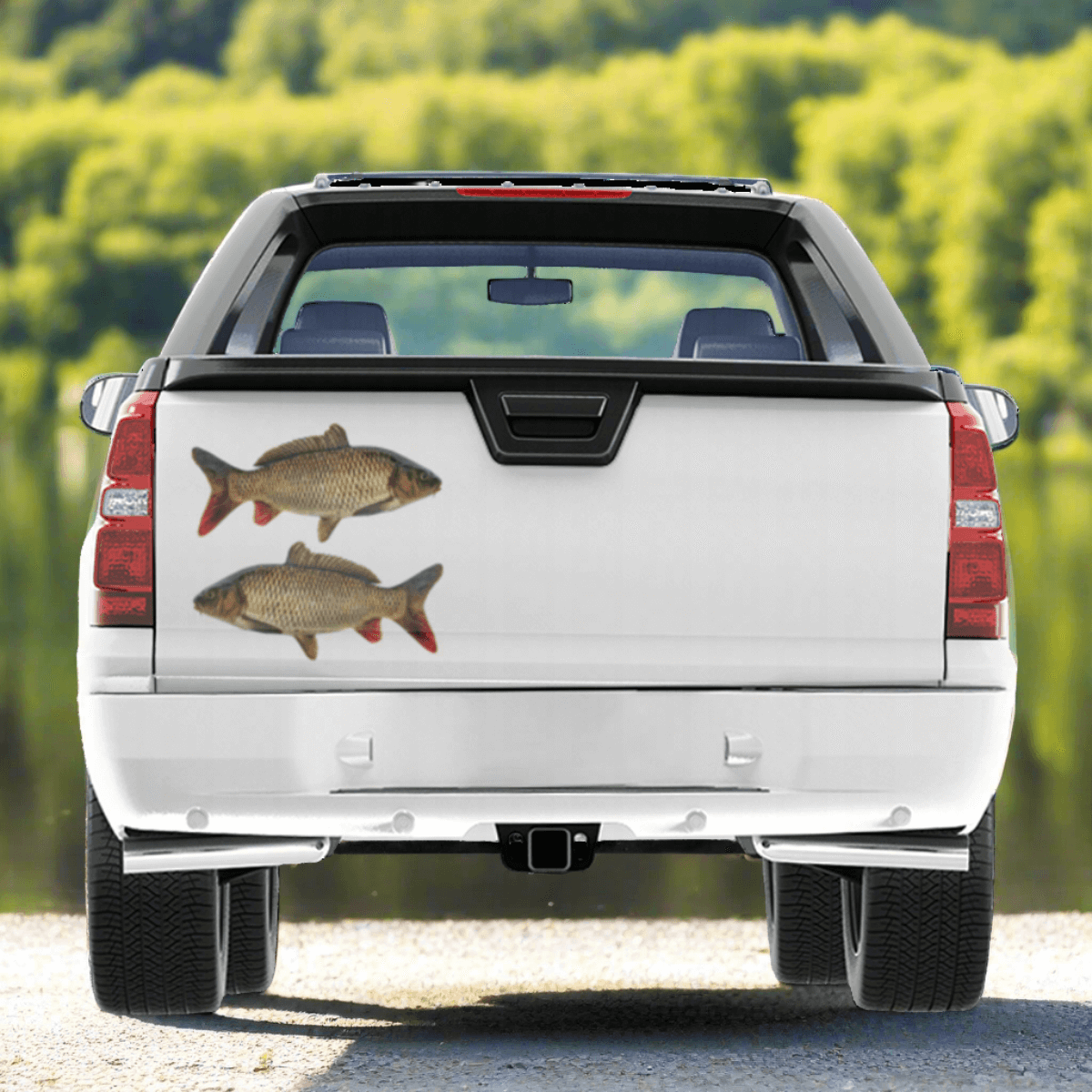 Large Carp decals on a pickup truck near a river.