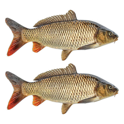 Two carp fish wall decals with custom size and text options, ranging from 40 to 70 inches. Perfect fishing wall stickers!