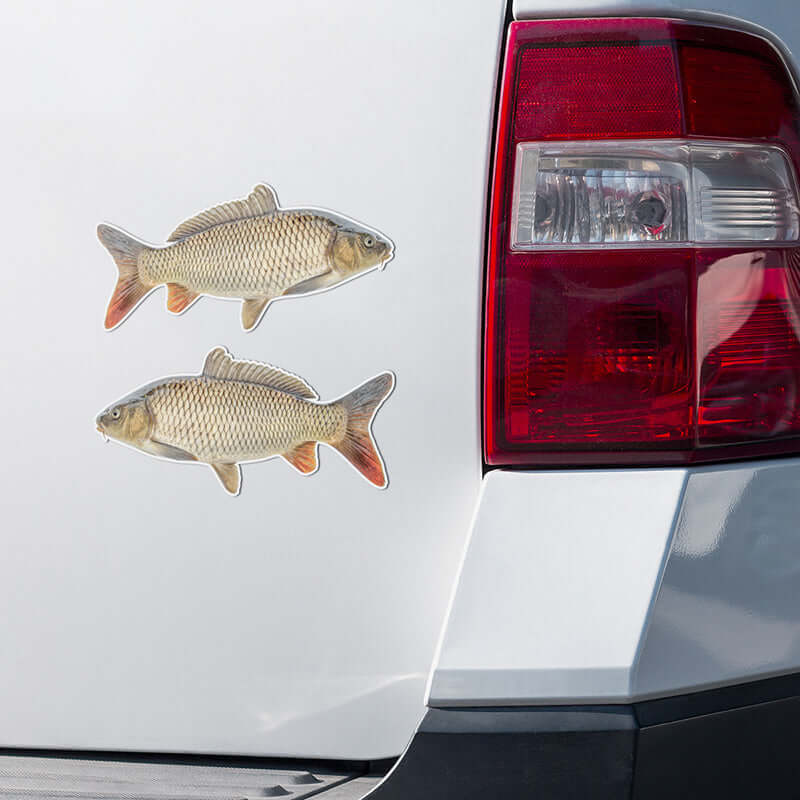 Carp stickers on a truck.