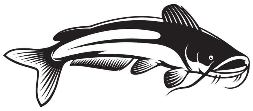 Catfish wall decal in black, fully customizable size from 40 to 70 inches, perfect large fish wall decor for any room.