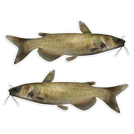 Channel Catfish 14 inch stickers left and right facing.