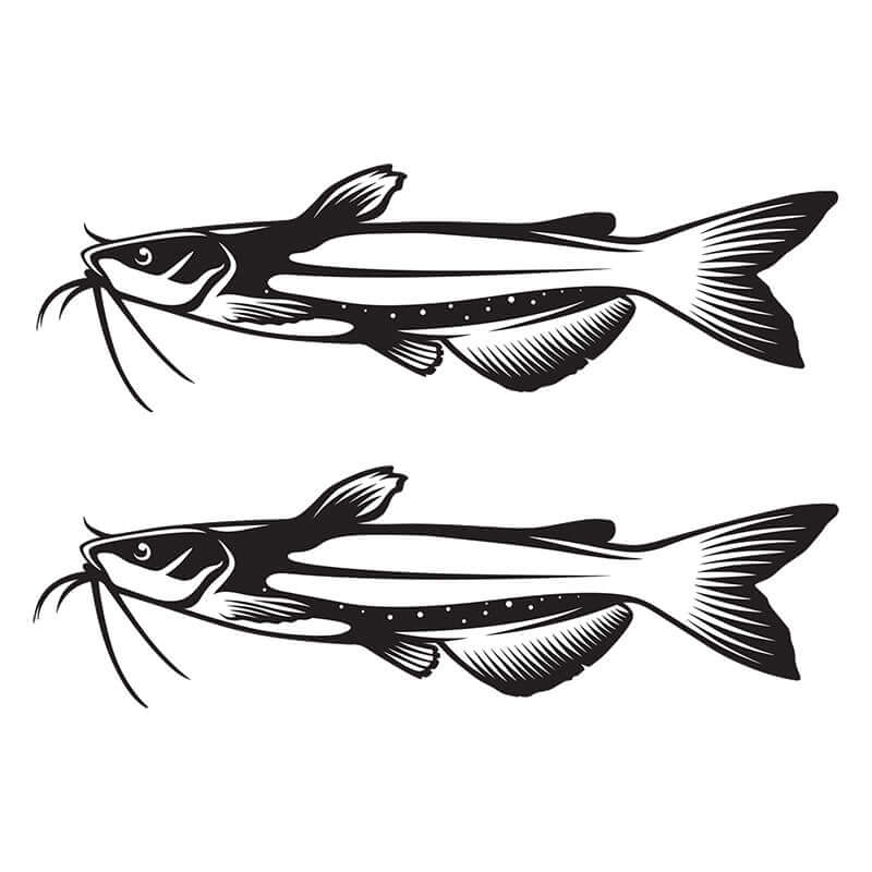 Channel Catfish decals left facing x 2.