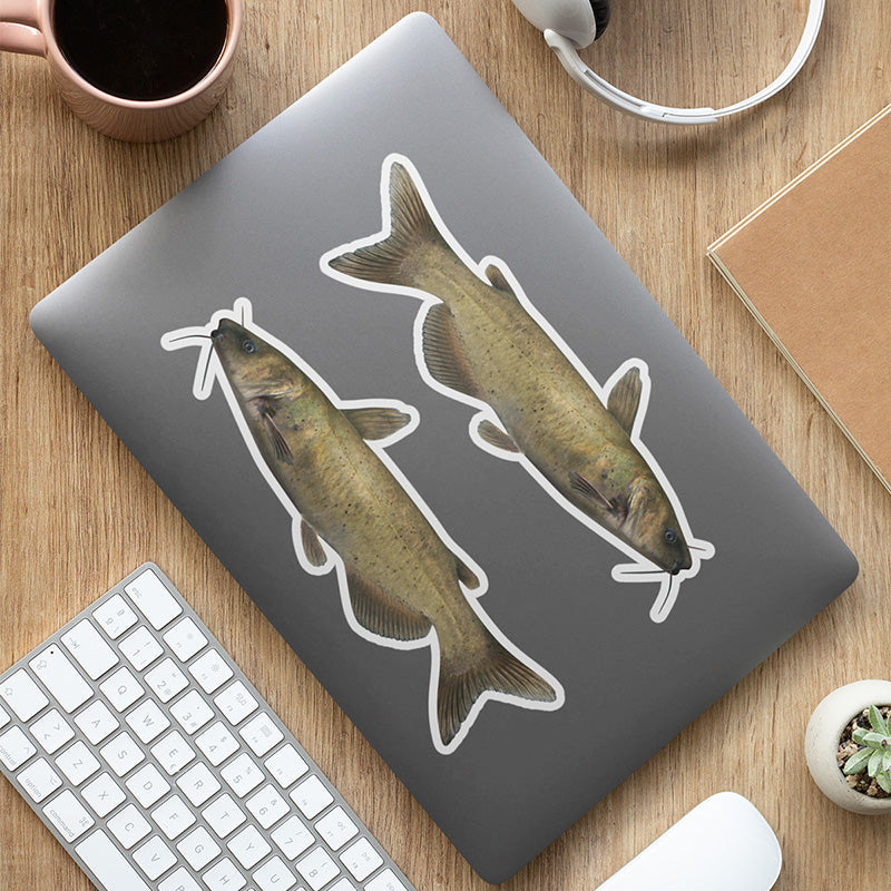 Channel Catfish stickers on a laptop.