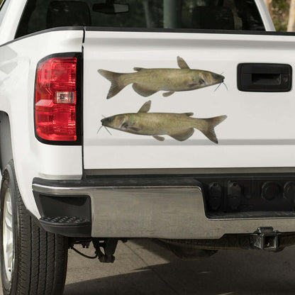 Large Channel Catfish decals on a white truck.