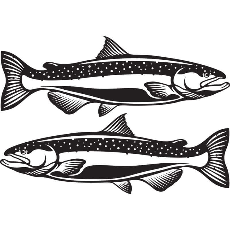 Chinook Salmon decals left and right facing.