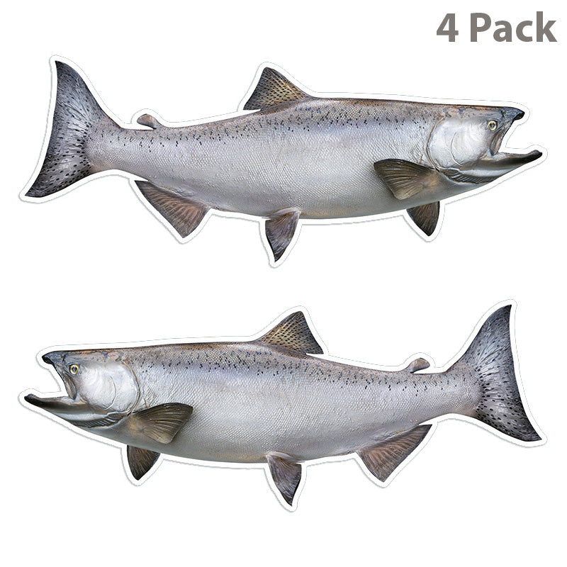 Chinook Salmon 14 inch 4 sticker pack.
