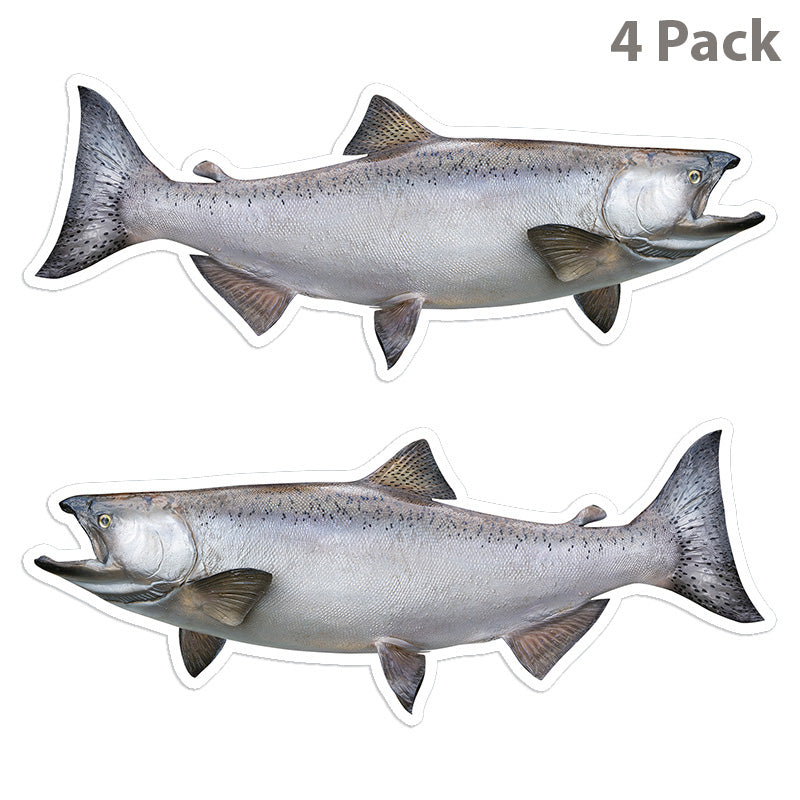 Chinook Salmon 8 inch 4 sticker pack.