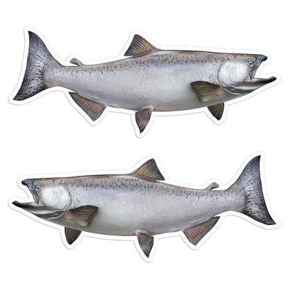 Chinook Salmon - Stickers, Decals