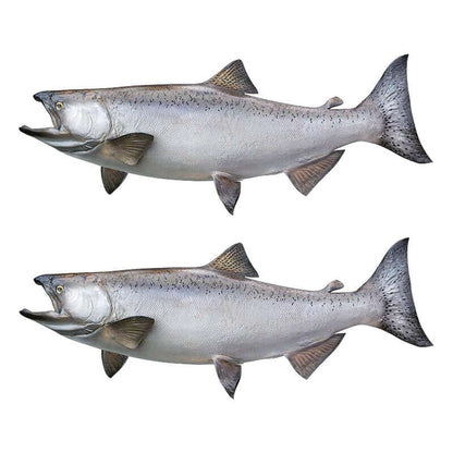 Chinook Salmon large decals left facing x 2.