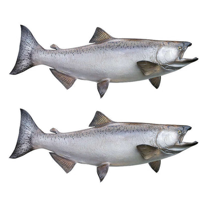 Chinook Salmon large decals right facing x 2.