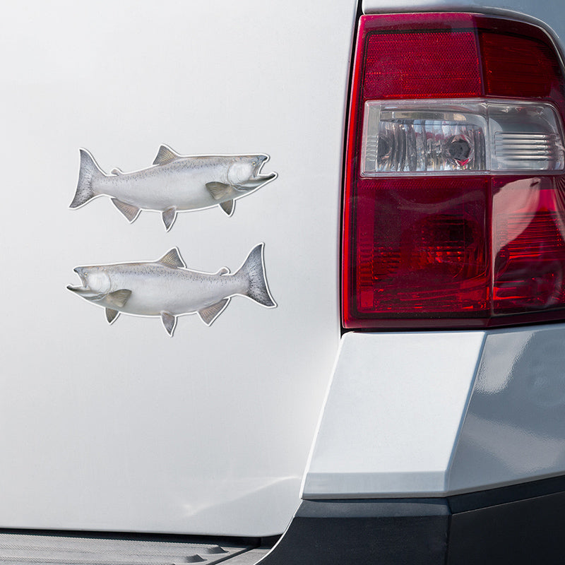 Chinook Salmon stickers on a truck.