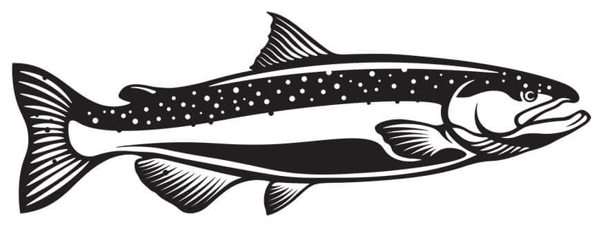 Chinook Salmon fish wall decal in matte black 40"-70" size