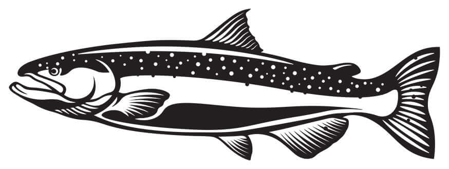 Chinook Salmon decals left facing x 2.