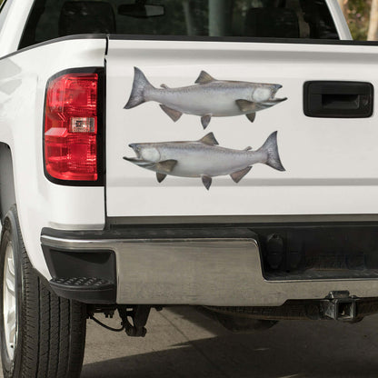 Chinook Salmon large decals on a truck.