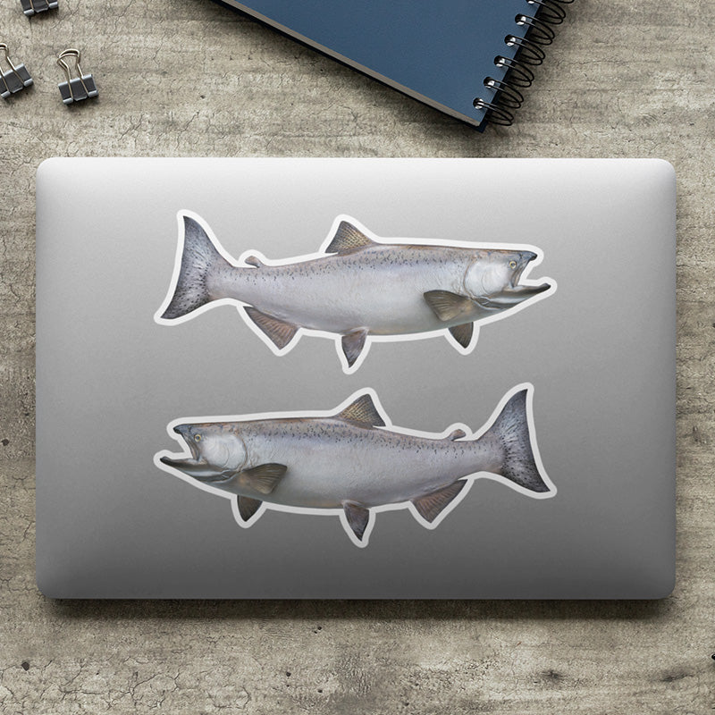 Chinook Salmon stickers on a laptop.