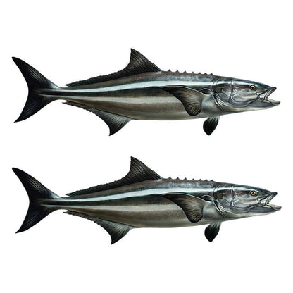 Cobia Decals