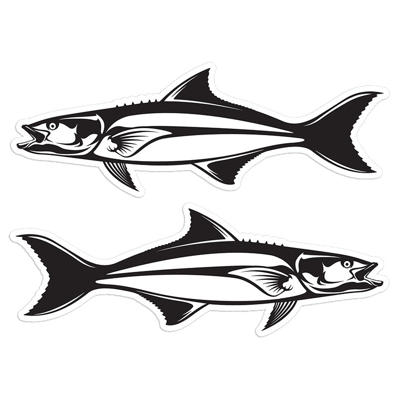 Cobia 8 inch stickers left and right facing.