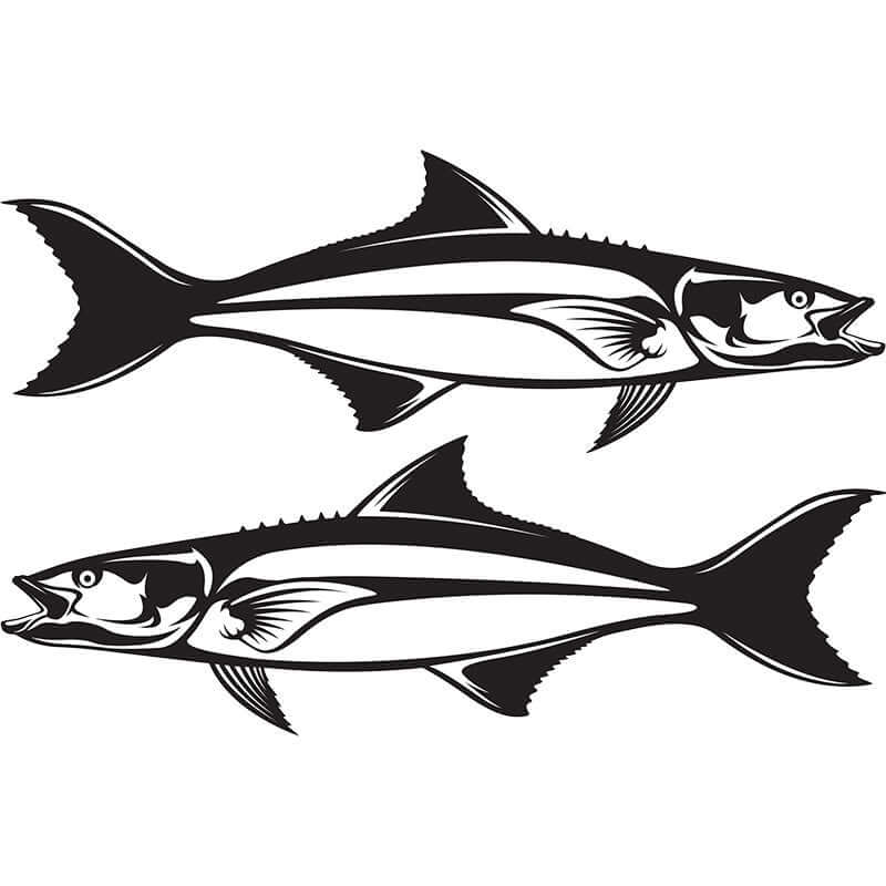 Cobia fish wall decals, fully customizable size and text options, perfect for fishing enthusiasts, large fish wall decor.