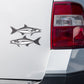 Cobia stickers on a truck.