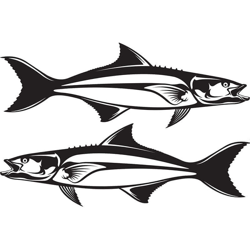 Cobia large decals left and right facing.