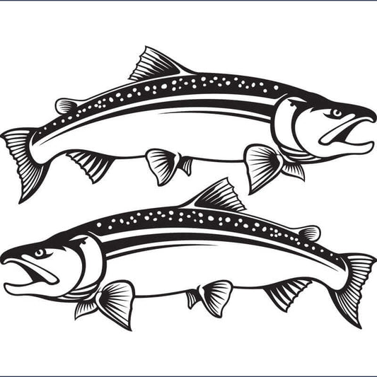 Coho Salmon large decals left and right facing.