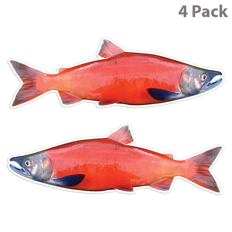 Coho Salmon 14 inch 4 sticker pack.