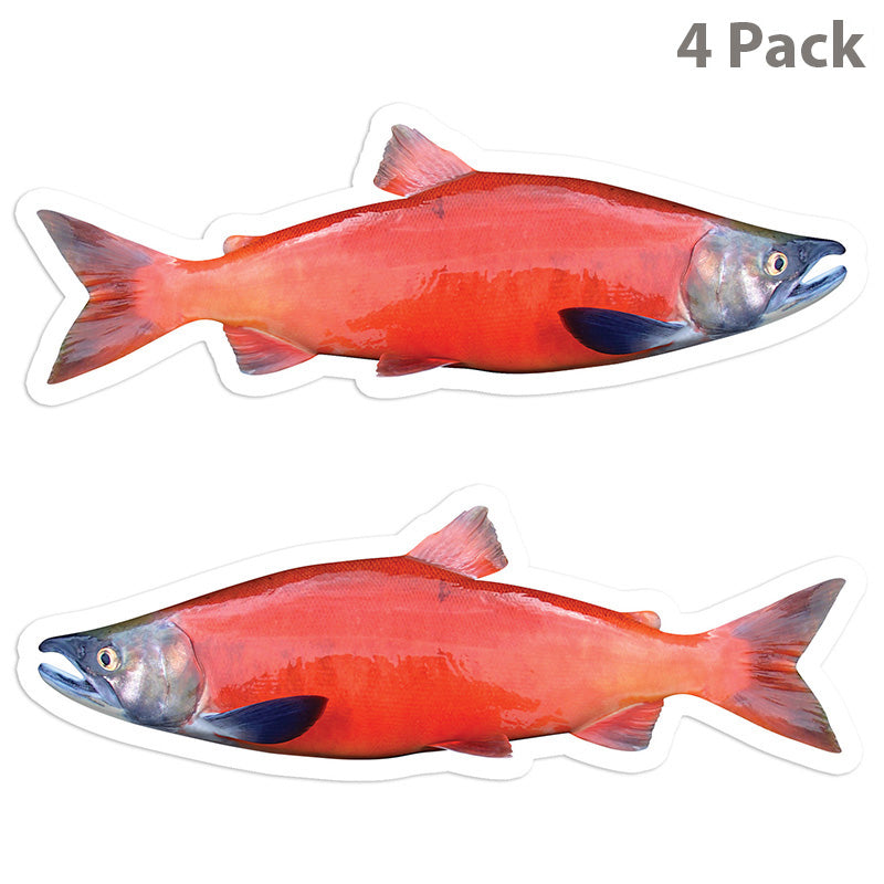 Coho Salmon 5 inch 4 sticker pack.