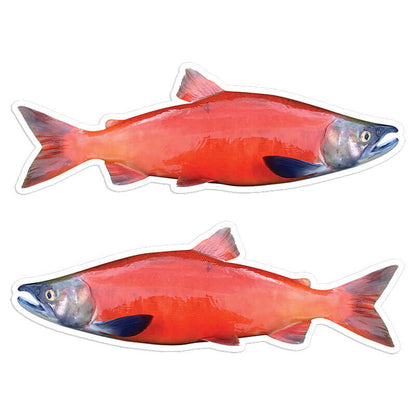 Coho Salmon - Stickers, Decals