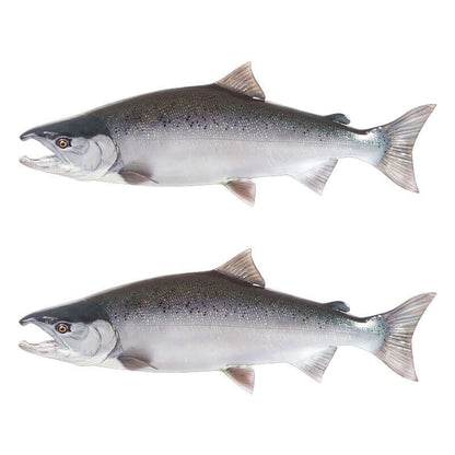 Coho salmon fish wall decals, removable and non-damaging, with left and right facing options.