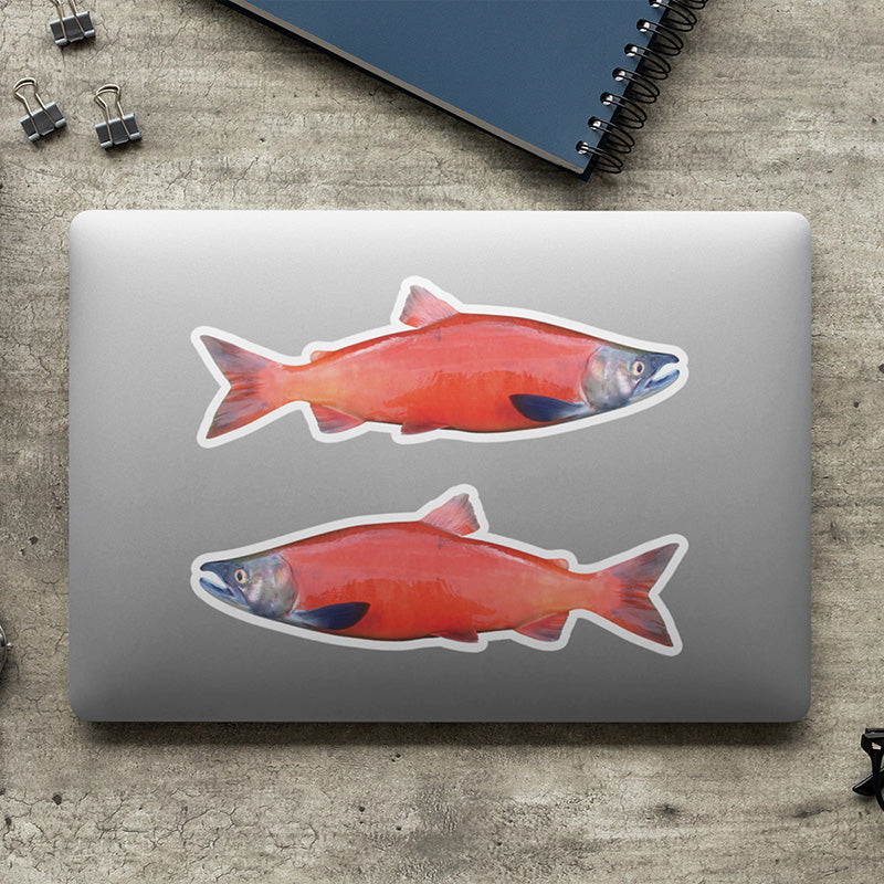 Coho Salmon stickers on a laptop.