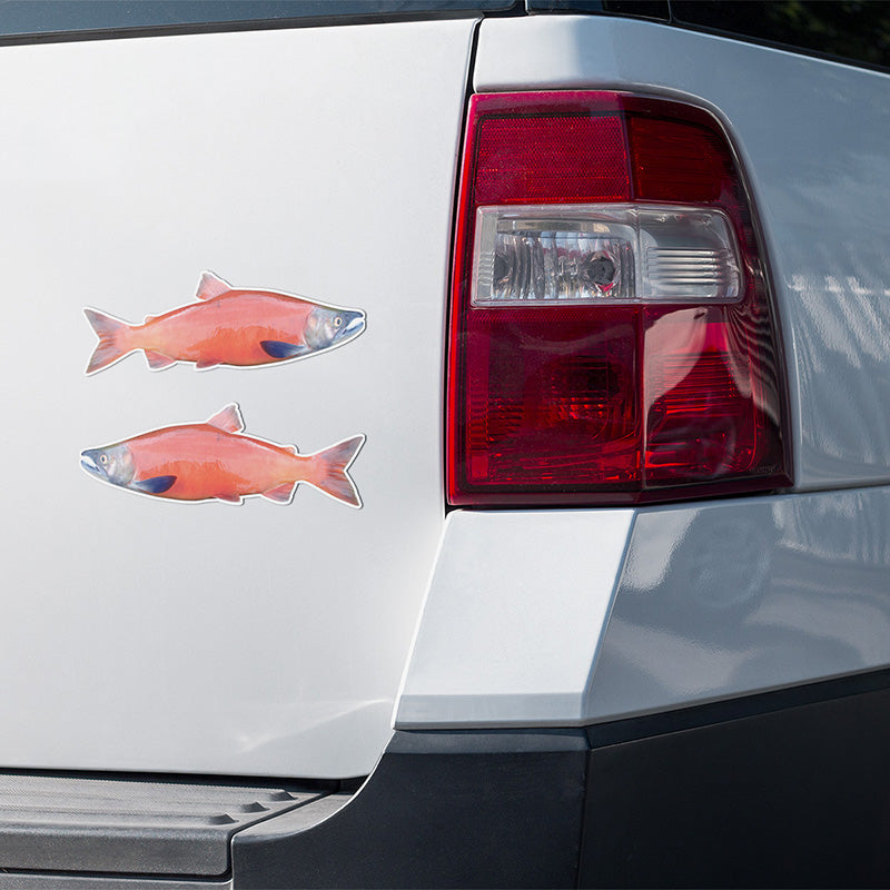 Coho Salmon stickers on a truck.