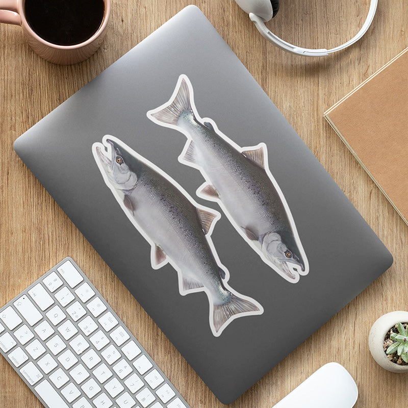 Coho Salmon stickers on a laptop.