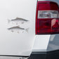 Coho Salmon stickers on a truck.