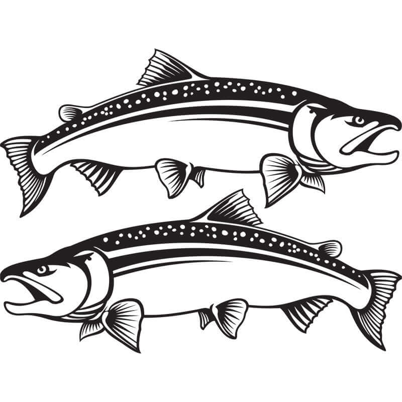 Coho salmon fish wall decals in black, perfect for fish enthusiasts' decor.