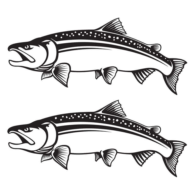 Customizable Coho Salmon wall decals in black and white, perfect for fishing wall stickers or large fish wall decor options.