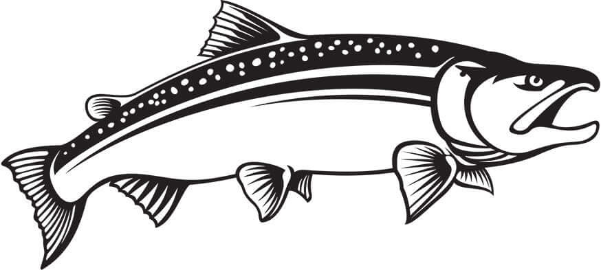 Coho salmon fish wall decal in black and white, ideal for fish enthusiasts' decor themes.