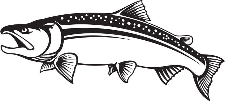 Coho salmon fish wall decal in black and white for home decoration