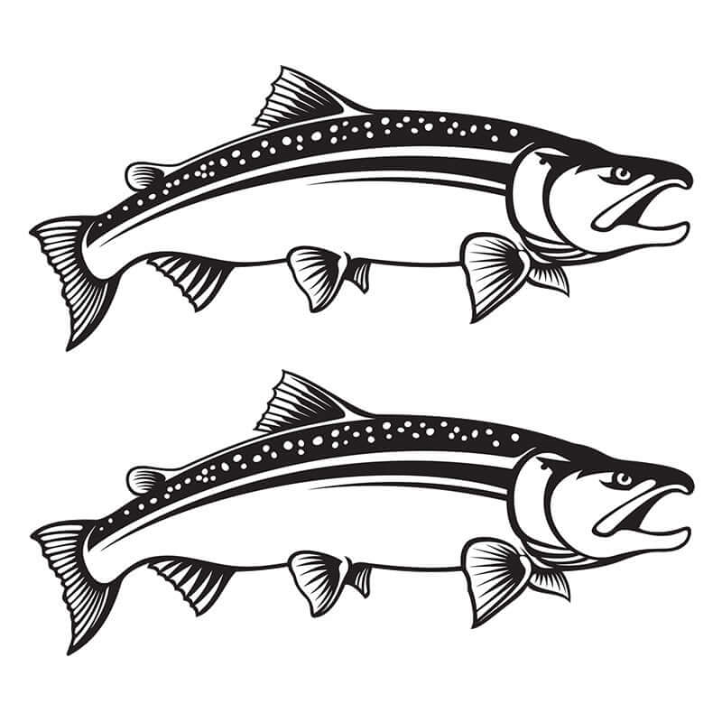 Customizable Coho Salmon fish decals, 14"-70", black or white, perfect for cars or boats, fishing decals for boats.