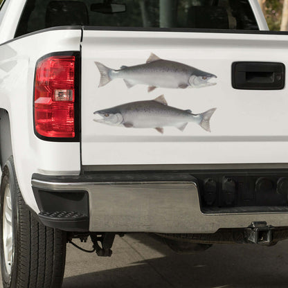 Coho Salmon large decals on a pickup truck.