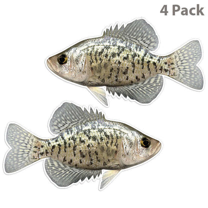 Crappie 14 inch 4 sticker pack.