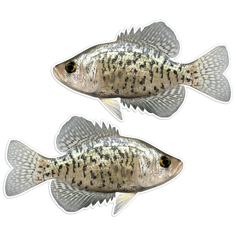 Crappie 14 inch stickers left and right facing.
