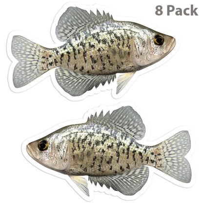 Crappie 5 inch 8 sticker pack.