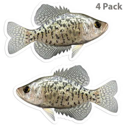 Crappie 5 inch 4 sticker pack.