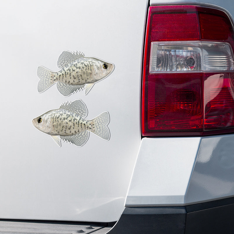 Crappie stickers on a truck.