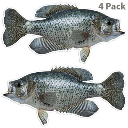 High-resolution crappie fishing stickers in a 4-pack, perfect for cars, boats, and laptops.