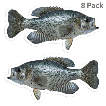 8 pack of left and right facing Crappie fish stickers