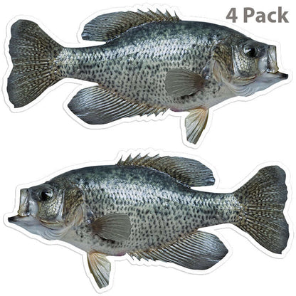 4 pack of high-resolution crappie fish stickers, left and right facing, perfect for cars, boats, and laptops