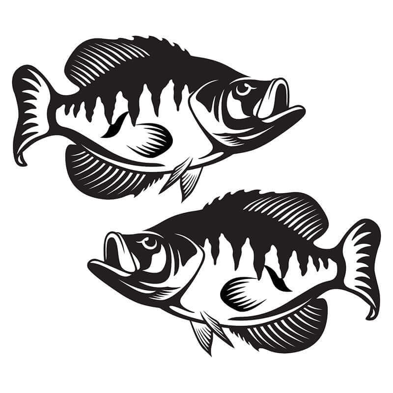 Crappie wall decal design, fully customizable size from 40"-70" with text options, perfect fish wall decals for any room decor.