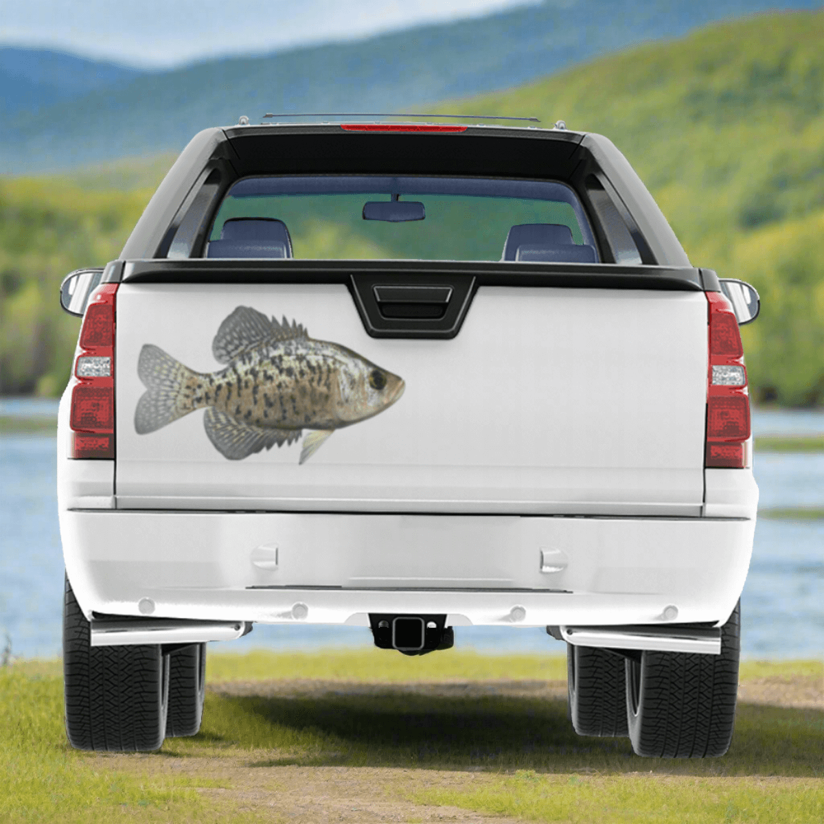 Crappie large decal on a pickup truck by a river.