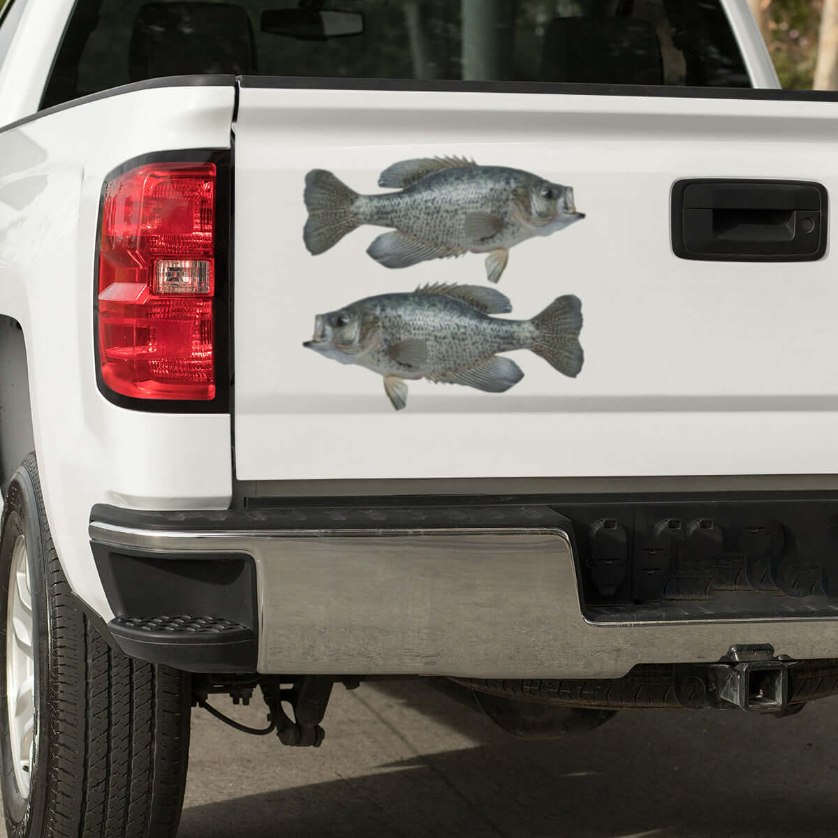 Large Crappie decals on a pickup truck.